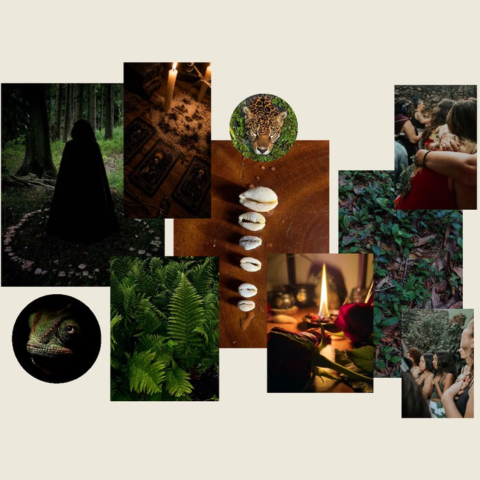 Moodboard com floresta, velas, búzios e mulheres em ritual